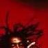Peter Tosh Pick Myself Up