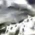 Ginga Densetsu WEED Shut Me Up Tryout On Sony Vegas