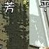 焦点对话 自干五是如何炼成的