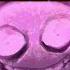 Undertale Yellow Voice Acted Flowey S Neutral Route Battle