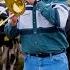Playing Jazz For Cows