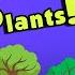 Everything You Need To Know About Plants Source Of Oxygen The Dr Binocs Show Peekaboo Kidz