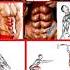 Body Kaise Banana Hai Body Exercise Body Kaise Banaen Body Workout At Home Fitness Shorts