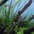 FULL AQUASCAPE BUILD WITH MJAquascaping STEP BY STEP TUTORIAL
