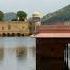 Jal Mahal Lake Jaipur Birds After Rains
