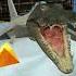 Baby BOMBARDIRO CROCODILO WAS BORN Italian Brainrot
