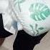 Parents Choice Diaper Crush
