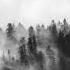 Black Metal Drum Track 90 BPM Backing Track DRUMS ONLY 2020