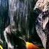 JURASSIC PARK 1993 IS A MASTERPIECE MOVIE REACTION Road To Jurassic World Rebirth