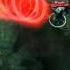 Dota 2 Queen Of Pain Gameplay HD