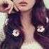 Aesthetics As Lana Del Rey Songs Hippie