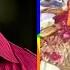 Diya Aur Bati Hum Serial Star Cast Then And Now Unbelievable Transformation Then And Old Series