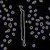 Calming Piano For Relaxation Jurrivh Last Letter Doodooc Music Visualizer