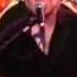 The Bird Dog Bobby Band My Love Will Never Die