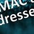 Identify MAC And IP Addresses Configuration Example Address Lab 9 1 3 CCNA KevTechify Vid 9