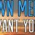 Shawn Mendes Don T Want Your Love Lyrics