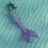 Mermaid Swims Plays On The Ocean Floor Mermaid Ocean H2o Thelittlemermaid Travel Beach