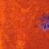 Cantoma Etoile 0007a