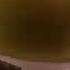 Smile Sweet Sister Sadistic Suprise Survise SHREK