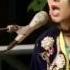 Kurdi Music 2014 BBC