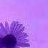This Is Me Greatest Showman Slowed Reverb