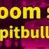 Pitbull Hotel Room Service Slowed Reverb