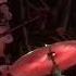 White Magician TGK Bug Jar Rochester NY July 2 2022 7 2 22