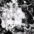 Death Dealers Files Of Atrocity 2010 Full Album Crust Punk