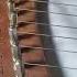 Shrek Fairytale Lyre Harp Cover