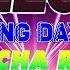 DISCO NONSTOP CHA CHA MIX 2025 SELOS MIX BEST OF NONSTOP DANCE PARTY REMIX 2025