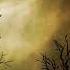 Halloween Background Music Halloween Eve Royalty Free Instrumental Music For Videos