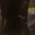 Just Gold Five Nights At Freddy S Song By MandoPony 10 HOURS