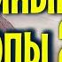Тайные тропы 2 12 Темная долина Курьер Борова Х18 Гроза Танкиста