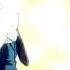 Akame Ga Kill AMV My Fight
