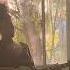 Sun Frequencies 1 Hour Healing Guitar Music Oneness And Safety Within