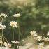 ATTI MASTER PUNK JUNGLE SPRING RAYS ORG MIX