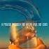 Alone Pt 2 Alan Walker Ava Max Aesthetic Lyrics Video