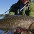 Amazing Kamchatka Fishing Trip On The River Icha