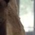 Geico Hump Day REMIX Guess What Day It Is Camel FINAL Happier Than A Camel On Wednesday