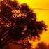 The Classics History Of Africa
