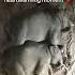 Elephants Cuddling The Most Heartwarming Moment