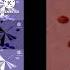 Klasky Csupo Effects Powers Tenparison