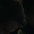 The Outsider Season 1 OST 1 01 01 The Body