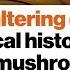 Mind Altering Drugs The Magical History Of LSD And Mushrooms Michael Pollan Big Think