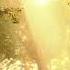 30 Minutes Of Beautiful Guitar Music Piano Music Calm Music Music Band
