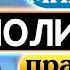 3 Устный тренажёр для начинающих Полиглот Строим предложения в настоящем прошедшем и будущем