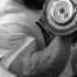 The Animal Underground Frank McGrath Dorian Hamilton Arms