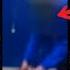 POPULAR SINGER K LLED BY SON AFTER SHE CATCHES HIM DOING THIS