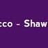 Pasto Flocco Shawn Michaels Lyric Video