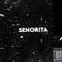 Senorita Slower Reverb Aesthetic Lyrics Edit Aesthetic Senorita Edit